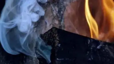 Zakon.kz, фото - Новости Zakon.kz от 21.11.2017 09:56