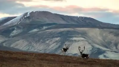 Zakon.kz, фото - Новости Zakon.kz от 08.10.2016 14:38