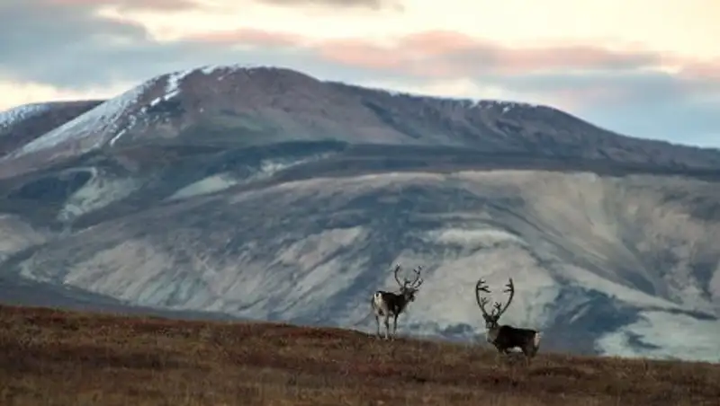 Около трех тысяч жителей поселка на Чукотке остались без света из-за подмыва опоры ЛЭП