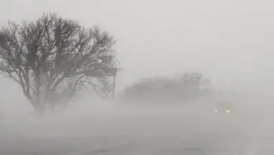 Zakon.kz, фото - Новости Zakon.kz от 11.01.2017 16:52