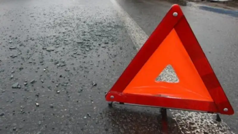 Полиция Шымкента просит помочь опознать погибшего в ДТП пешехода