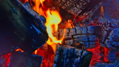 Pixabay, фото - Новости Zakon.kz от 16.11.2019 08:10