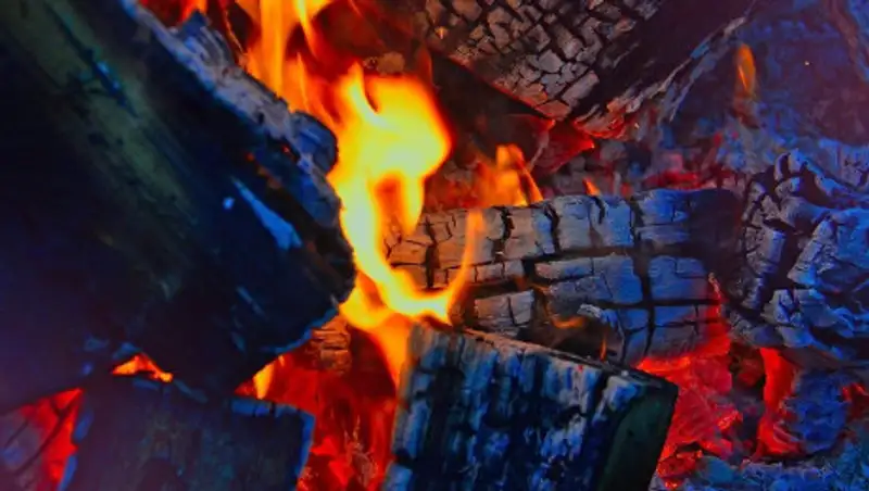 Мать с детьми погибла в пожаре в Алматинской области