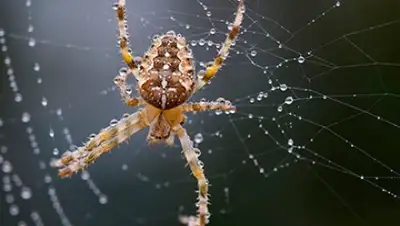 Zakon.kz, фото - Новости Zakon.kz от 24.11.2016 18:13