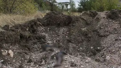 Zakon.kz, фото - Новости Zakon.kz от 01.10.2014 15:33