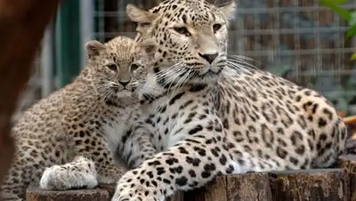 Zakon.kz, фото - Новости Zakon.kz от 19.02.2016 18:05