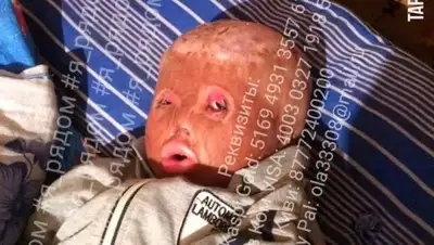 Zakon.kz, фото - Новости Zakon.kz от 28.12.2017 18:53