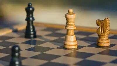 Казахстан шахматы олимпиада в Индии
