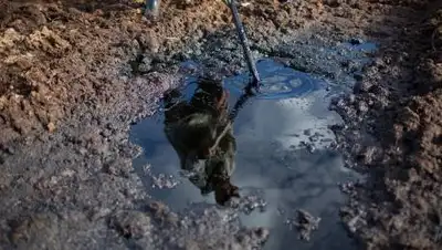 oilcapital, фото - Новости Zakon.kz от 26.12.2020 07:35