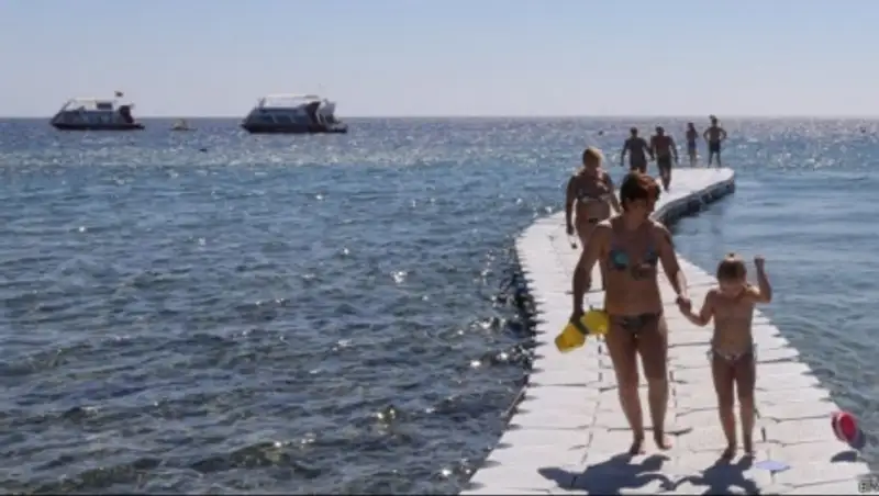 В Египте акула убила туриста из Германии