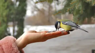 Zakon.kz, фото - Новости Zakon.kz от 27.11.2014 18:01