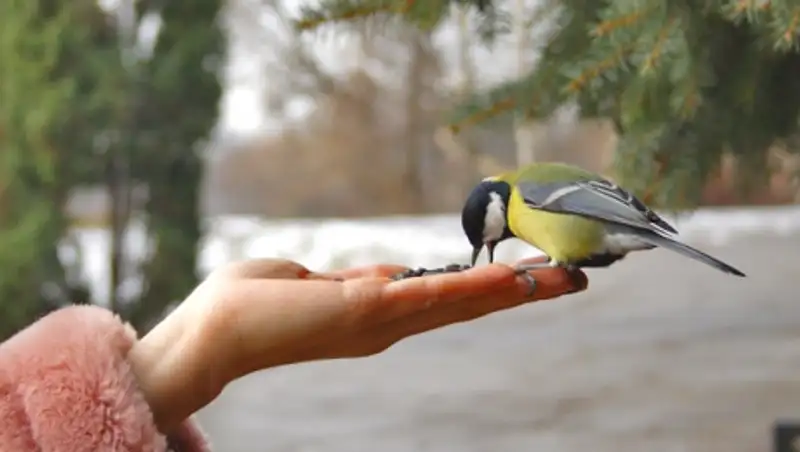 Доброта года