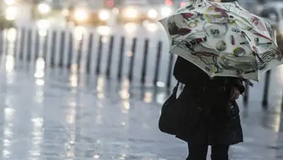 golos.ua, фото - Новости Zakon.kz от 04.11.2019 09:24