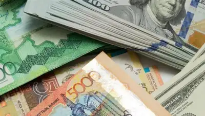 liter.kz, фото - Новости Zakon.kz от 21.11.2019 15:56