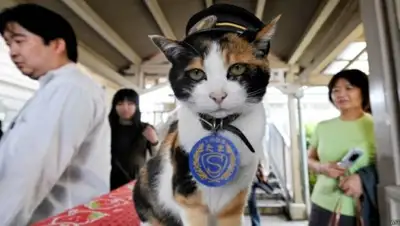 Zakon.kz, фото - Новости Zakon.kz от 29.06.2015 07:08