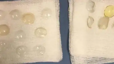 Zakon.kz, фото - Новости Zakon.kz от 16.07.2017 12:16