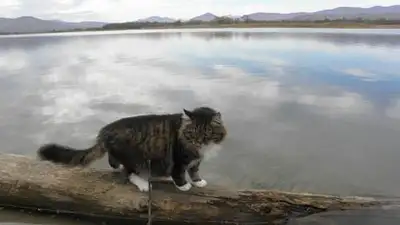Zakon.kz, фото - Новости Zakon.kz от 19.08.2014 19:20