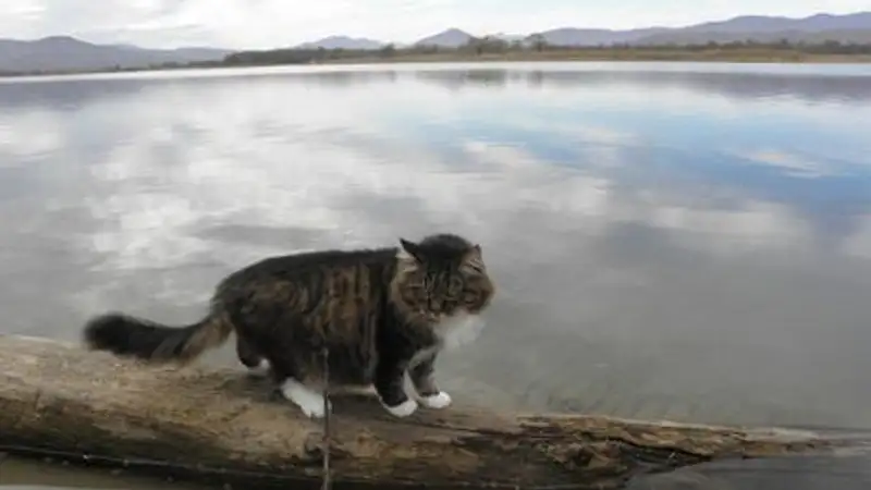 Туристы, застрявшие в Приморье из-за разлива реки, смогли выехать домой 