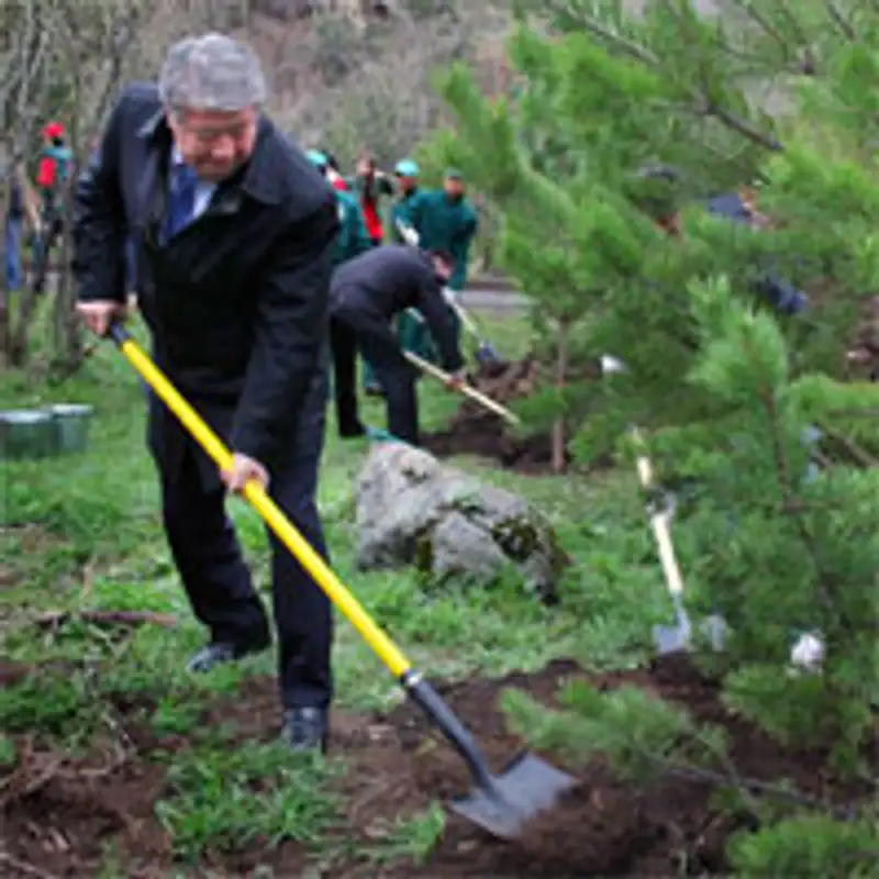 В урочище Медеу будет высажено 8 тысяч деревьев хвойных пород , фото - Новости Zakon.kz от 25.04.2013 22:02