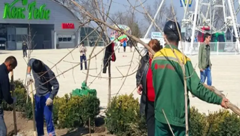 Руководство Кок-Тобе отчиталось о посадках