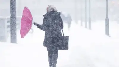 bratsk.org, фото - Новости Zakon.kz от 06.02.2021 22:57