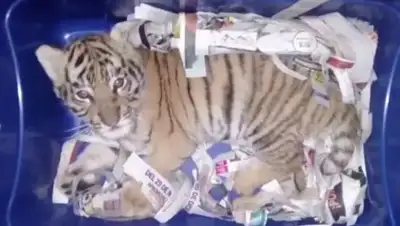 belta.by, фото - Новости Zakon.kz от 09.02.2018 11:44