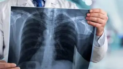 zakon.kz., фото - Новости Zakon.kz от 01.12.2020 09:36