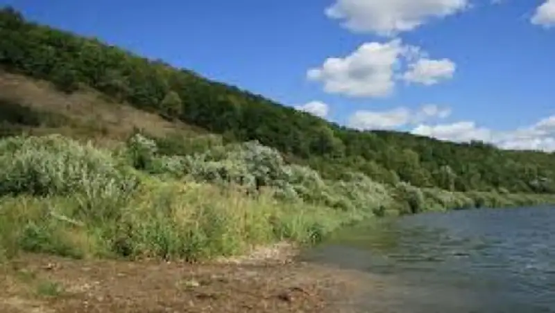 Подросток найден живым спустя 4 дня поисков в Костанае