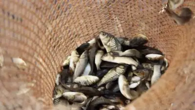 Zakon.kz, фото - Новости Zakon.kz от 03.11.2017 12:28