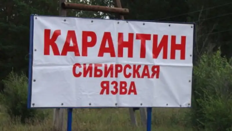 Сибирская язва в Акмолинской области. Госпитализированы пять сельчан