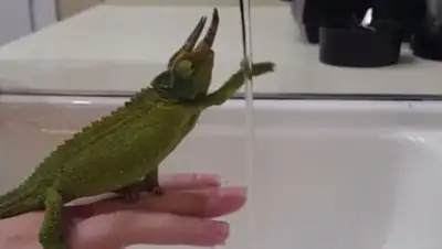 Zakon.kz, фото - Новости Zakon.kz от 11.07.2017 17:15