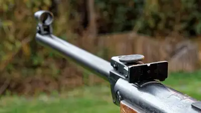 pixabay, фото - Новости Zakon.kz от 11.11.2021 01:25