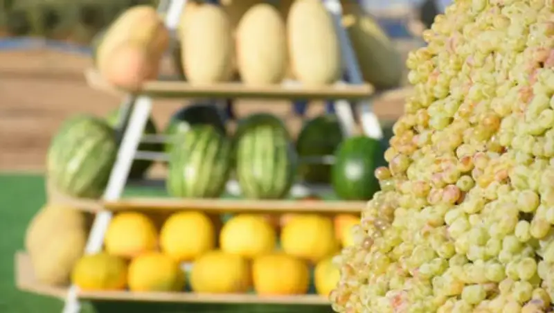 Объем валовой продукции сельского хозяйства Туркестанской области достиг 450 млрд тенге