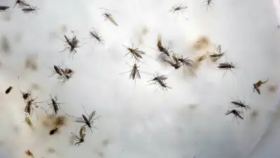 Zakon.kz, фото - Новости Zakon.kz от 15.02.2016 17:21