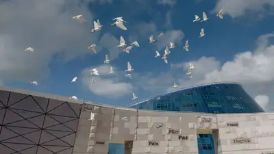 Zakon.kz, фото - Новости Zakon.kz от 17.11.2021 14:40