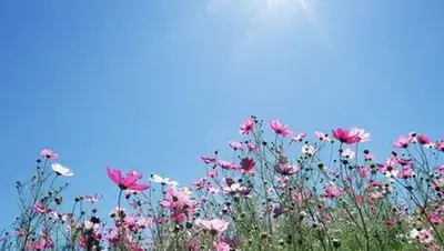 kh.vgorode.ua, фото - Новости Zakon.kz от 21.07.2018 09:33