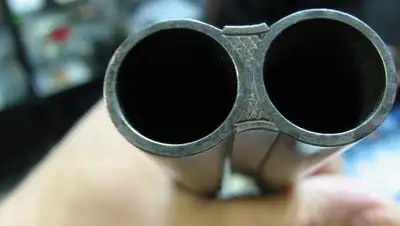 Guns.ru, фото - Новости Zakon.kz от 22.04.2019 13:13