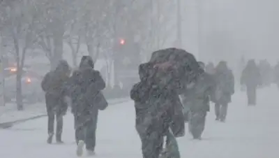 Zakon.kz, фото - Новости Zakon.kz от 27.02.2017 12:01