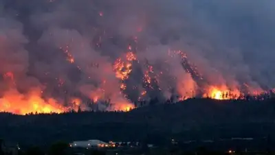 Zakon.kz, фото - Новости Zakon.kz от 05.07.2015 16:31