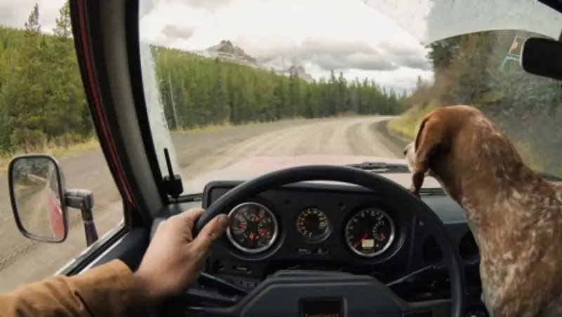 Пример настоящей дружбы между собакой и человеком