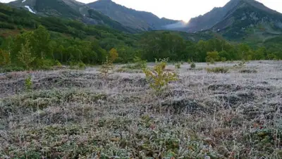 pixabay.com, фото - Новости Zakon.kz от 19.06.2020 17:09