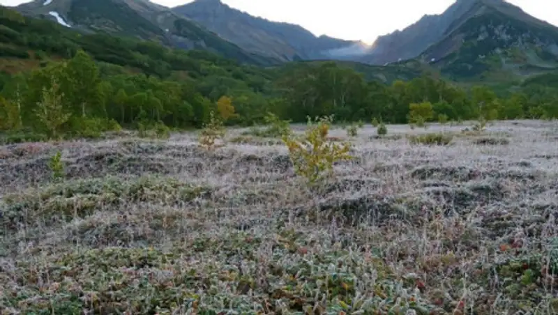 В нескольких областях Казахстана ожидаются заморозки