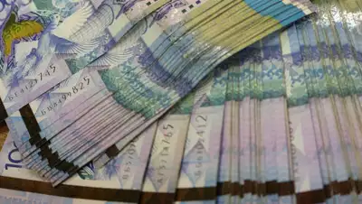 zakon.kz, фото - Новости Zakon.kz от 13.11.2019 17:10