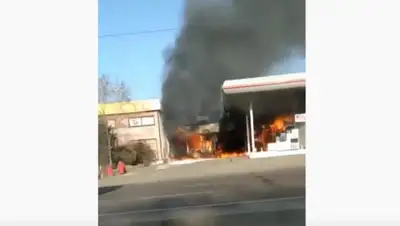 Скриншот, фото - Новости Zakon.kz от 13.11.2019 11:30