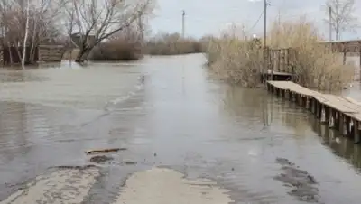 Zakon.kz, фото - Новости Zakon.kz от 12.03.2015 02:54