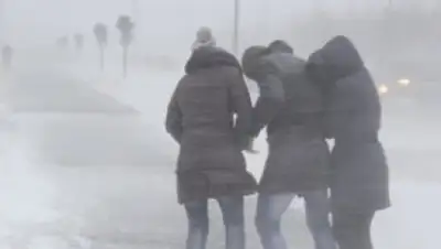 Zakon.kz, фото - Новости Zakon.kz от 03.02.2015 15:23