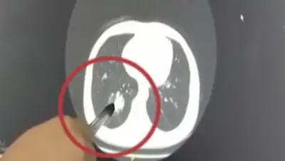 sina.cn, фото - Новости Zakon.kz от 16.08.2018 10:03