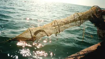 Zakon.kz, фото - Новости Zakon.kz от 10.02.2015 17:43