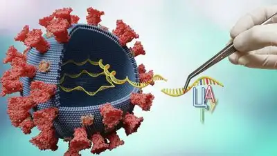 Depositphotos/vchalup2, фото - Новости Zakon.kz от 11.04.2021 17:41