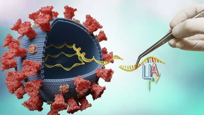 Чем опасны мутации COVID-19, рассказали в ВОЗ